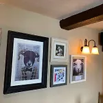 Red Lion